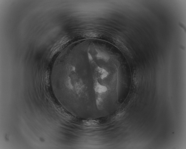 X0000101120359200807031809