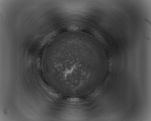 X0000101120361200807031809