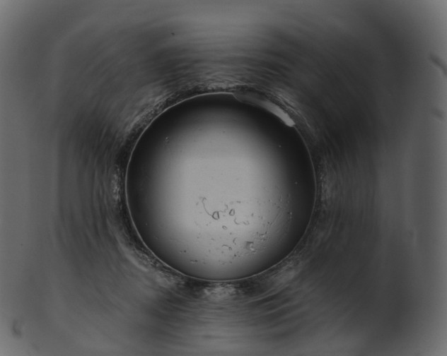 X0000101120362200807031809
