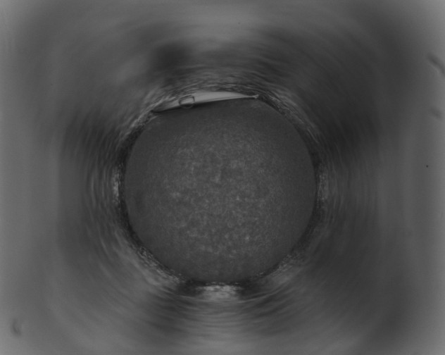 X0000101120363200807031809