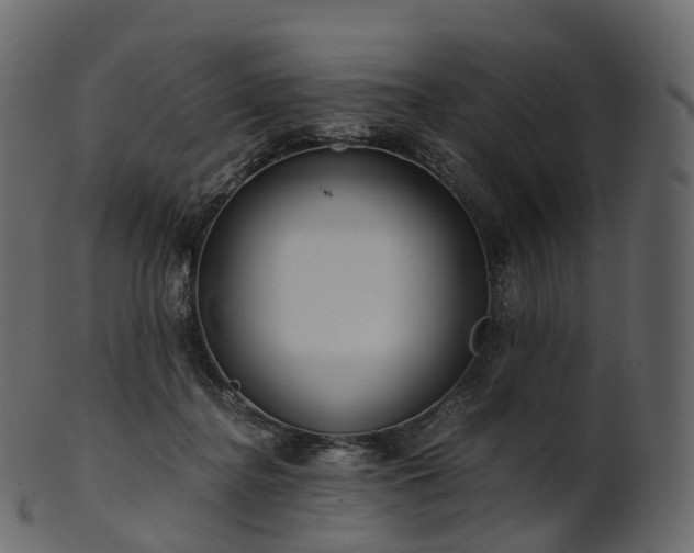 X0000101120364200807031809