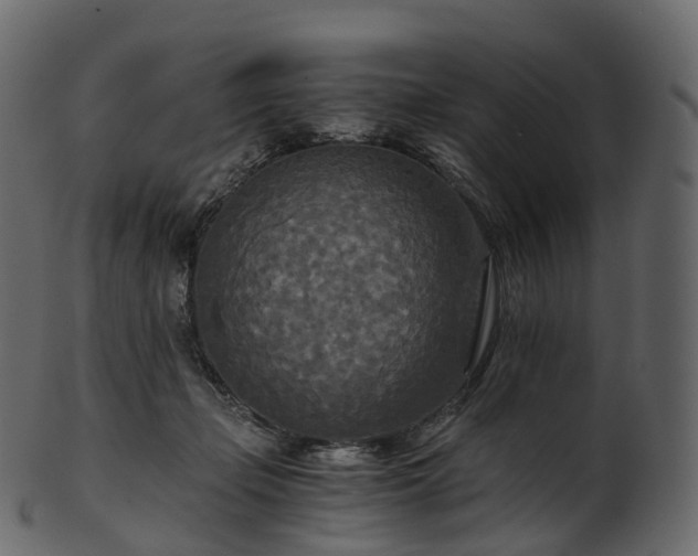X0000101120365200807031809