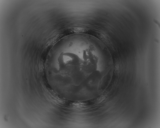 X0000101120367200807031809