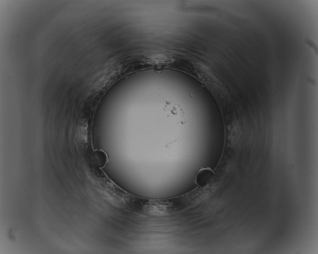 X0000101120368200807031809