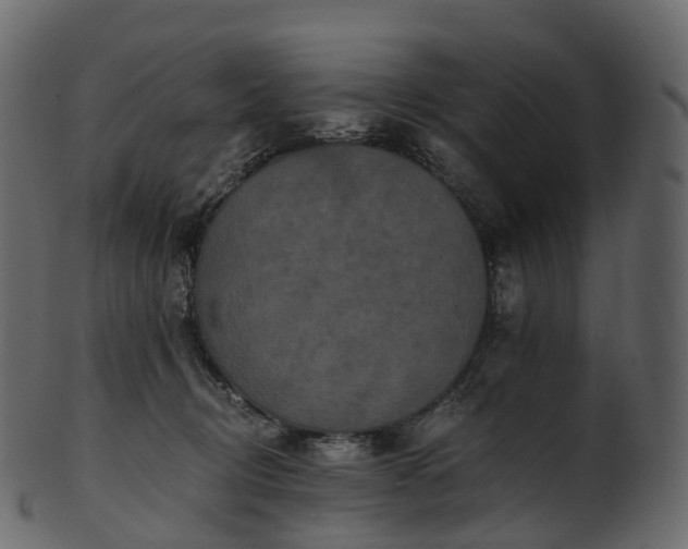 X0000101120370200807031809