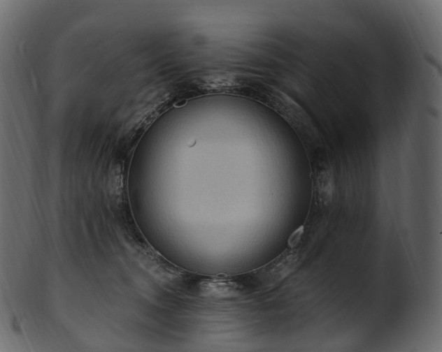 X0000101120372200807031809