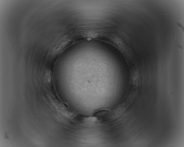 X0000101120374200807031809