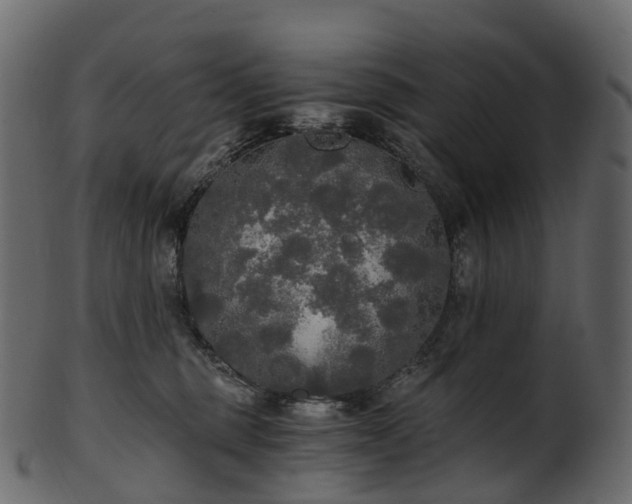 X0000101120375200807031809