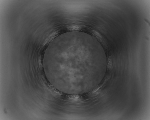 X0000101120377200807031809