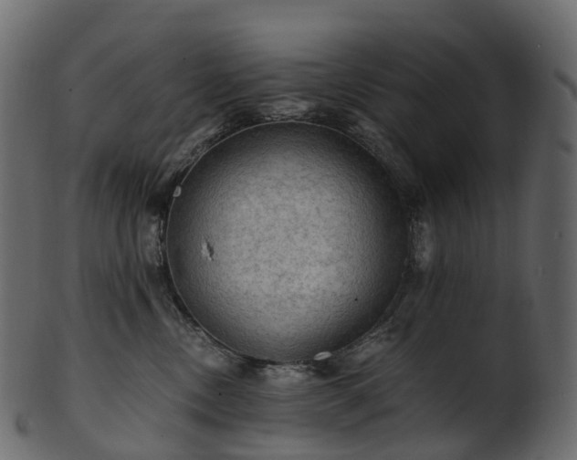 X0000101120378200807031809