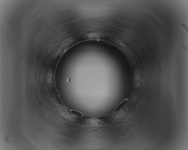 X0000101120379200807031809