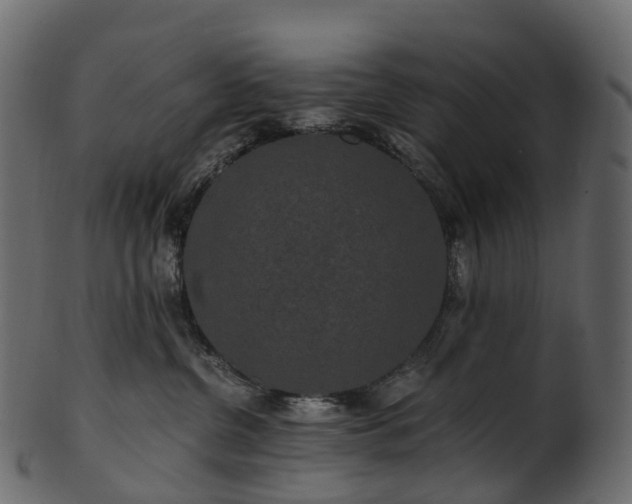 X0000101120380200807031809