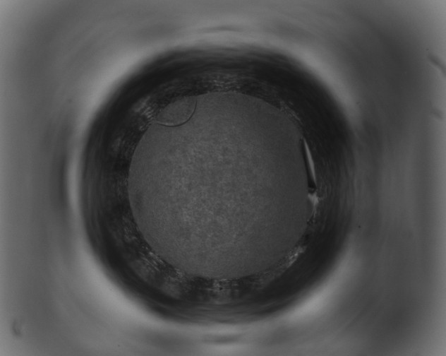 X0000101120383200807031809