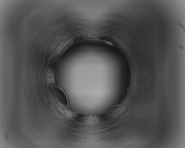 X0000101120384200807031809
