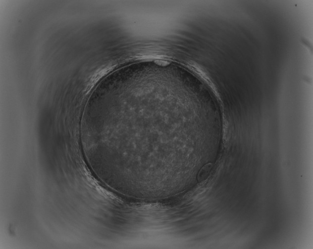 X0000101120385200807031808