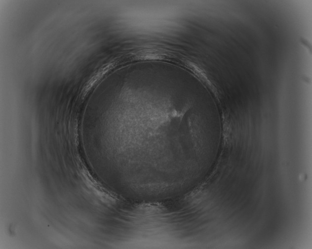 X0000101120386200807031808