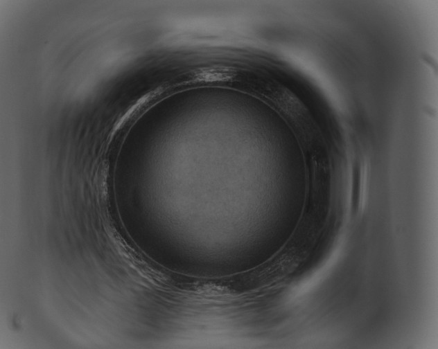 X0000101120387200807031808