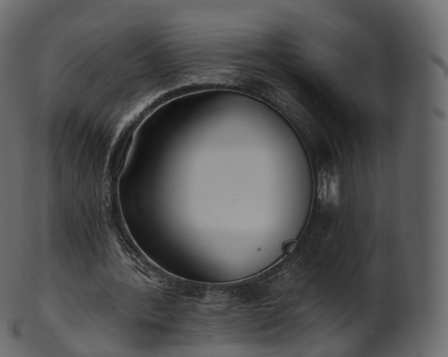 X0000101120388200807031808
