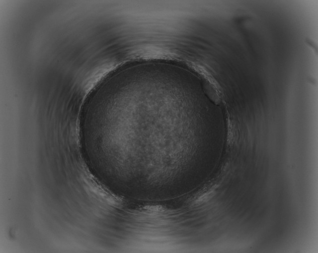 X0000101120391200807031808