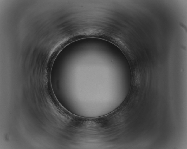 X0000101120392200807031808