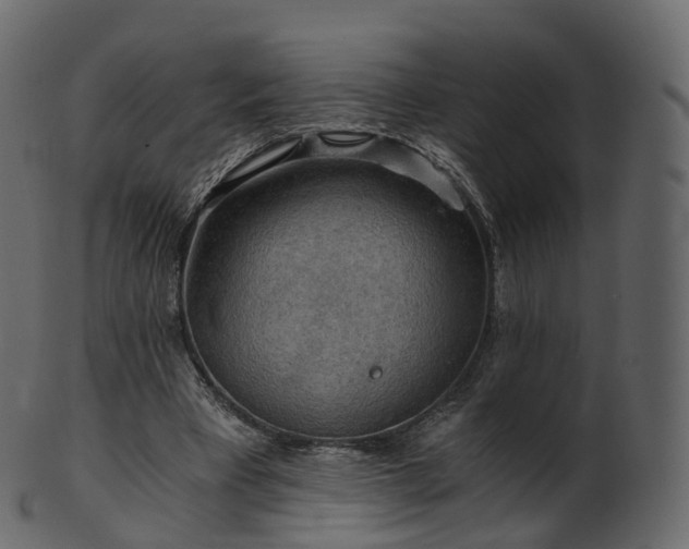 X0000101120393200807031808