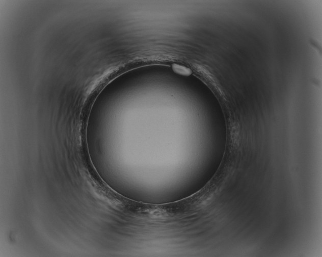 X0000101120395200807031808