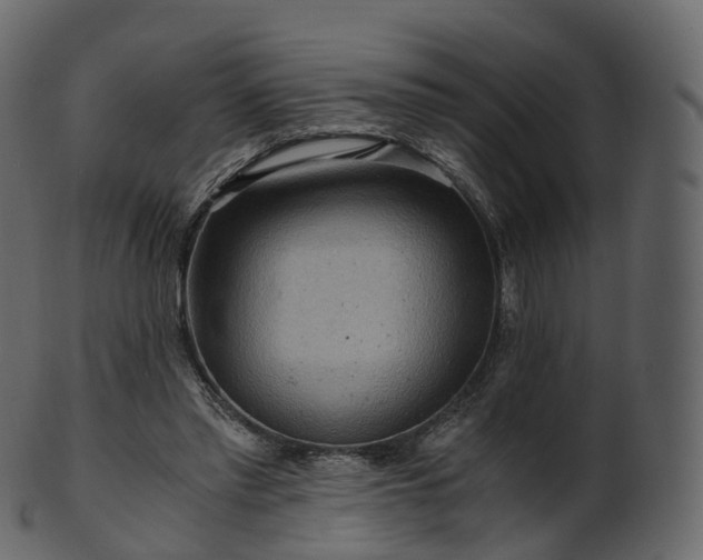 X0000101120397200807031808