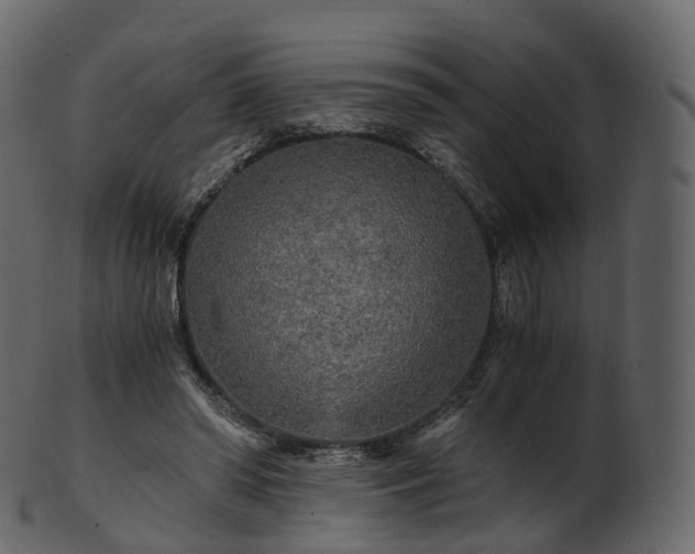 X0000101120398200807031808