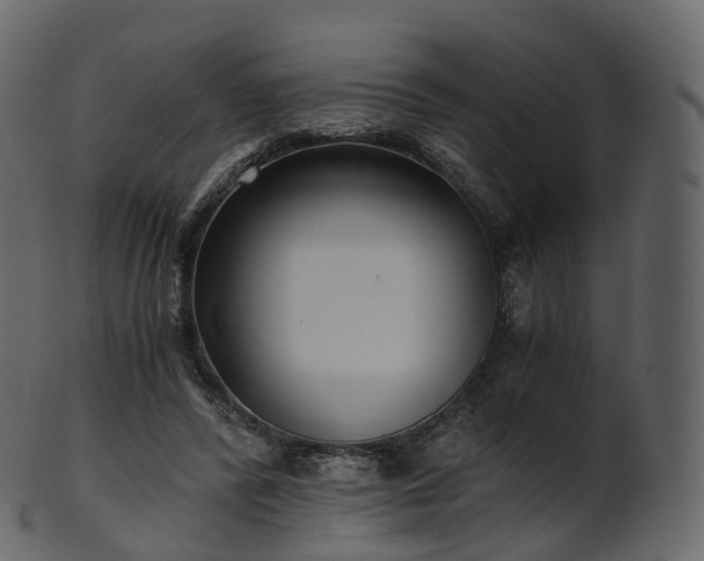 X0000101120400200807031808