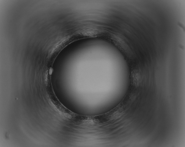 X0000101120404200807031808