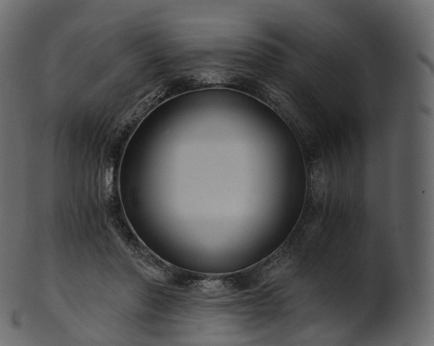 X0000101120406200807031808