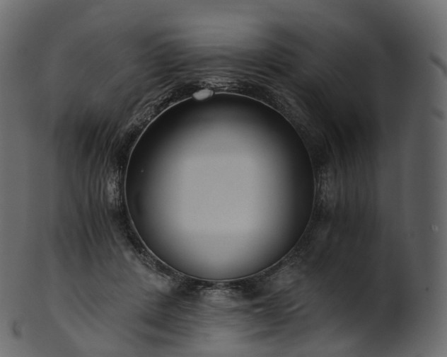 X0000101120408200807031808
