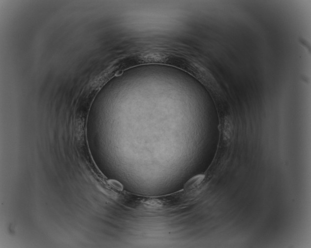 X0000101120409200807031808