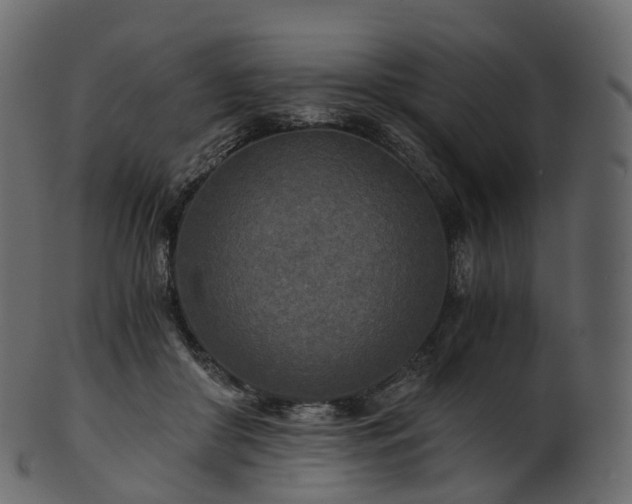 X0000101120410200807031808