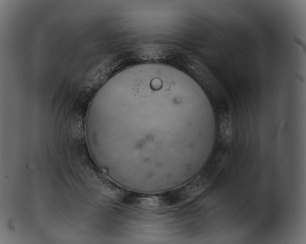 X0000101120411200807031808