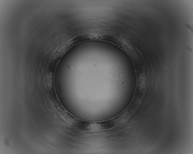 X0000101120413200807031808