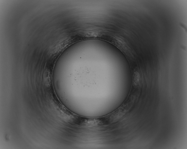 X0000101120414200807031808