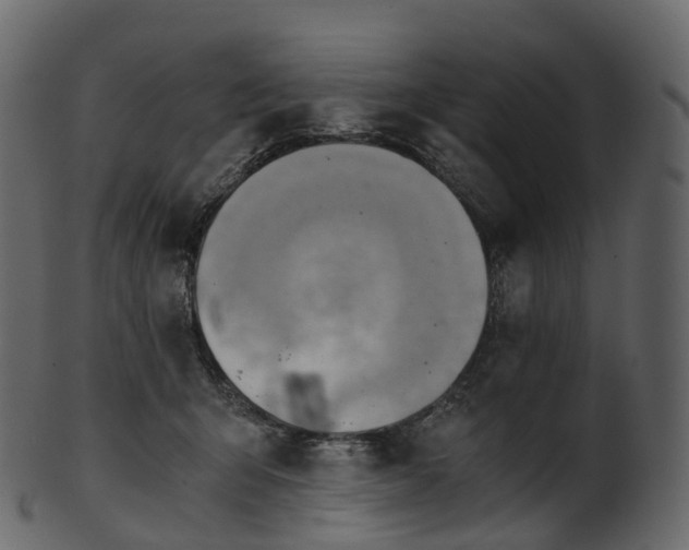 X0000101120415200807031808
