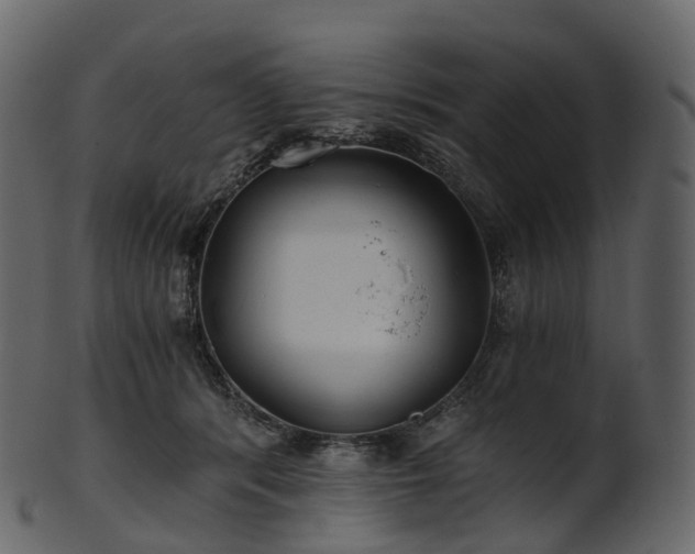 X0000101120416200807031808