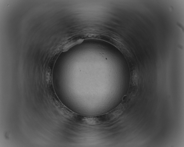 X0000101120417200807031808
