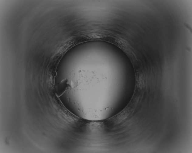 X0000101120418200807031808