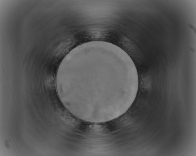 X0000101120419200807031808