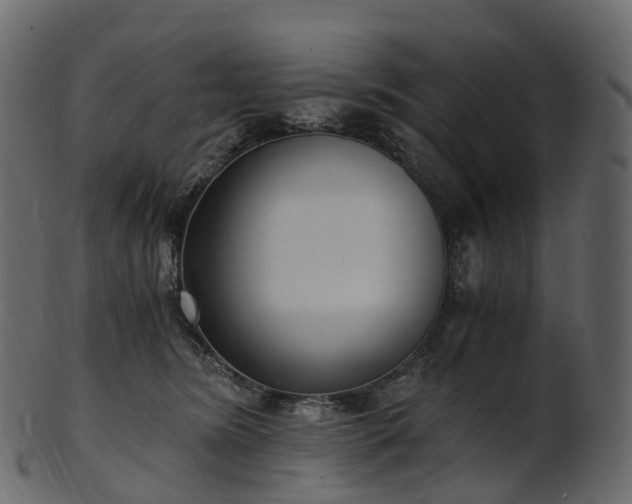X0000101120420200807031808