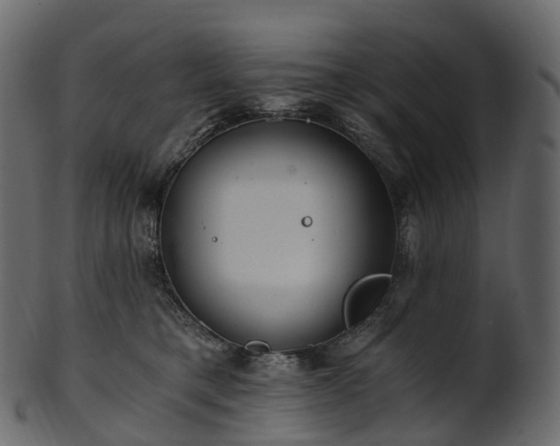 X0000101120421200807031808