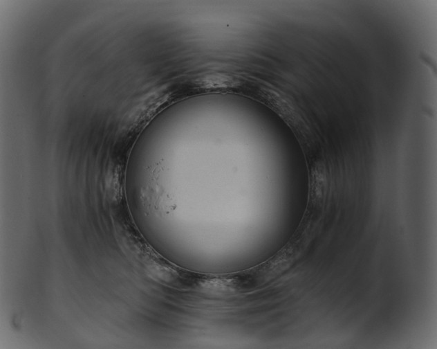 X0000101120422200807031808