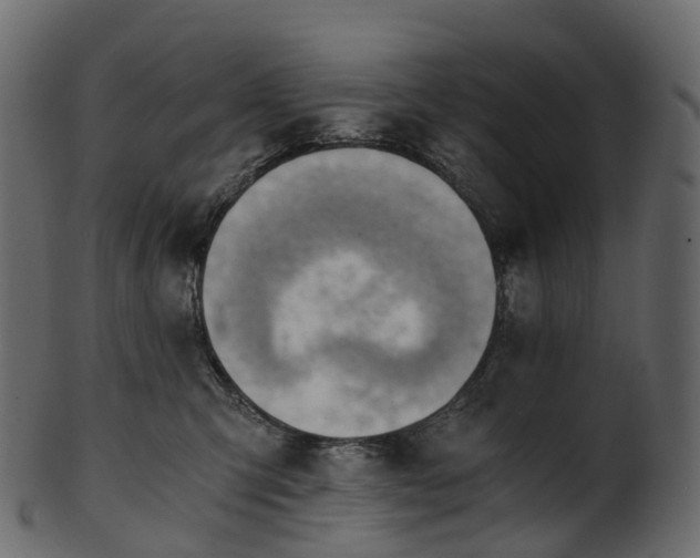 X0000101120423200807031808