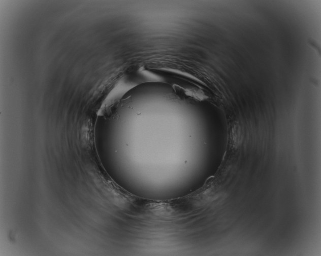 X0000101120424200807031808