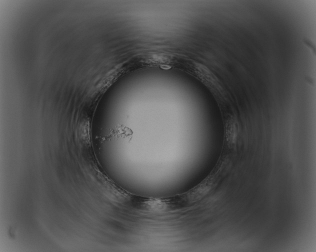 X0000101120425200807031808