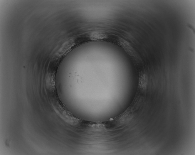 X0000101120426200807031808