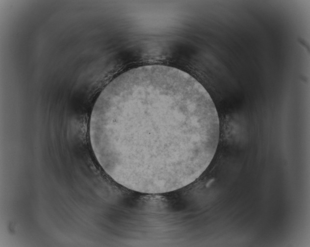 X0000101120427200807031808
